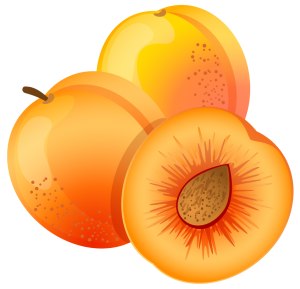 Apricot PNG-12657